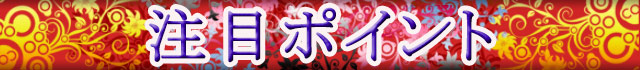 花の慶次～琉 / パチンコ･パチスロ攻略